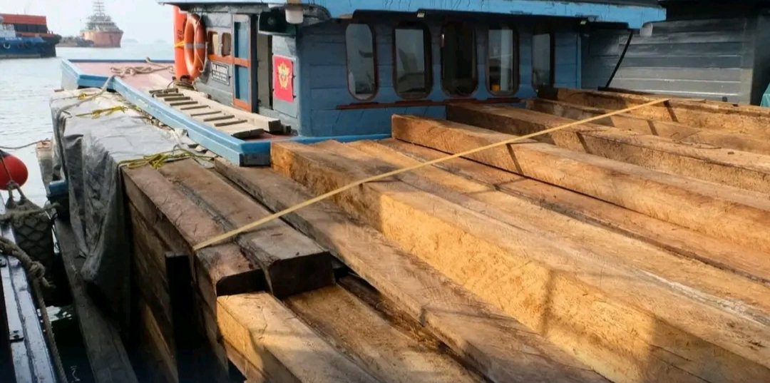 Bea Cukai Batam Amankan 1.250 Balok Kayu Ilegal di Perairan Pulau Hangop